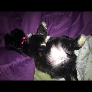 Meet your Posher, Ashley